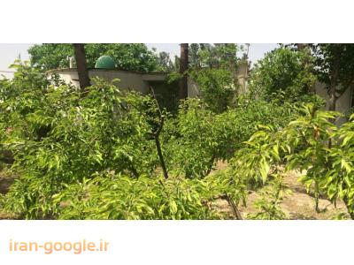 سایت خرید و فروش باغ-3000 متر باغ ویلا در جنوب شهریار(کد110)