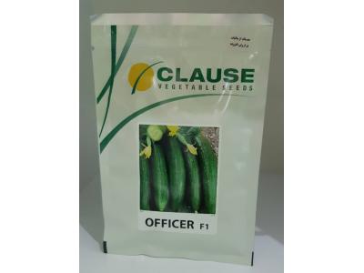 مقاومت-فروش بذر خیار افیسر