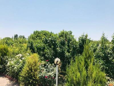 باغ ویلا با جواز در زیبادشت-2000 متر باغ ویلای فاخر در شهرک زیبادشت