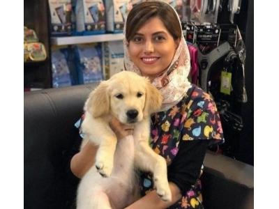 خرید و فروش انواع حیوانات-کلینیک دامپزشکی و پت شاپ نیک در تهران 