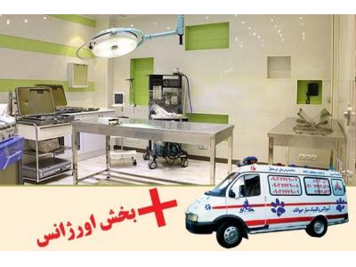 شبانه-بیمارستان دامپزشکی شبانه روزی درین