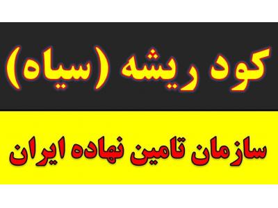 نیترات-کود مرغی و پلت مرغی در مشهد