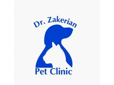 گربه-کلینیک تخصصی دامپزشکی دکتر ذاکریان