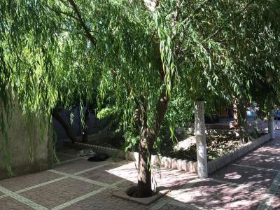 سرویس استخر-1380 متر باغ ویلا در شهریار