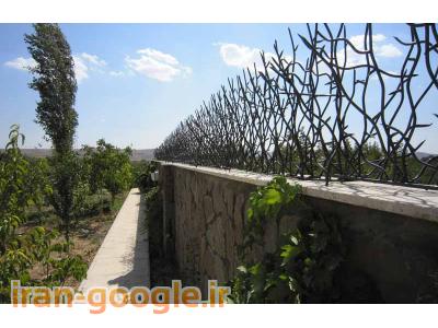 نیم‌گلدان دیواری-حفاظ شاخ گوزنی و حفاظ بوته ای