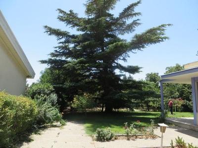کرمان- فروش باغ ویلا 1300 متری در خوشنام(کد250)