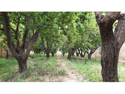 خرید باغ-500 متر باغچه مناسب ساخت ویلا در شهریار