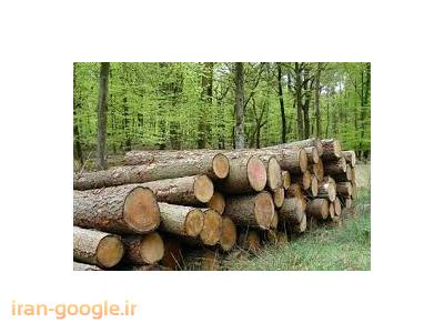 گلی-تولید و فروش فرآورده های چوبی 