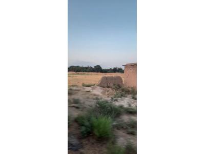 باغ سنددار کاسبی در شریف آباد پاکدشت-فروش 25000 متر چهاردیواری در شریف آباد پاکدشت