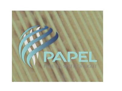 ورق سازی-شرکت پاپل وارد کننده کاغذ فیلتر هوای سنگین و سبک و کاغذ فیلتر روغن سنگین و سبک 