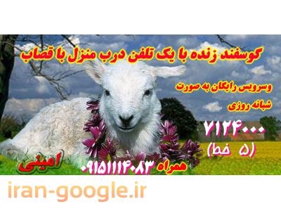 خرید مشهد-فروش گوسفند زنده در مشهد 