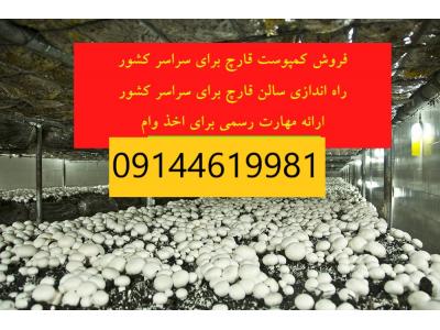 گلستان-راه اندازی آنلاین سالن پرورش قارچ و کسب درآمد
