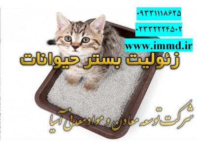 فروش گربه-فروش زئولیت در بستر حیوانات 