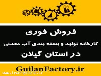 نیمه صنعتی و صنعتی-فروش فوری کارخانه نیمه فعال و راکد در استان گیلان