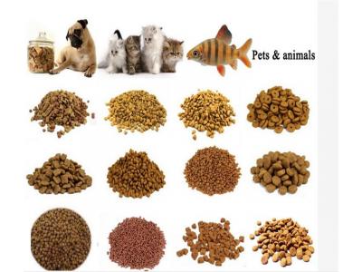 طعم-خطوط تولید غذای خشک حیوانات خانگی