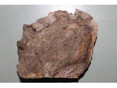 فروش وام-بورس و عرضه  انواع سنگ  تراورتن و مرمریت  در تهران