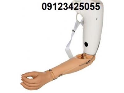 وزارت‌بهداشت-ساخت اندام مصنوعی از جمله : پروتز دست مصنوعی و پا 