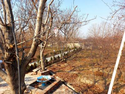 محوطه سازی-5500 متر باغ ویلای مشجر با بنای قدیمی در شهریار