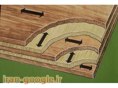 زاده-واردکننده پلی وود چندلایی چوب تخته سه لایی