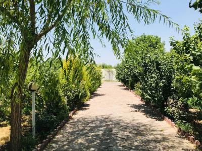 خرید باغ ویلا شهریار-باغ ویلای 4570 متری سرسبز در شهریار