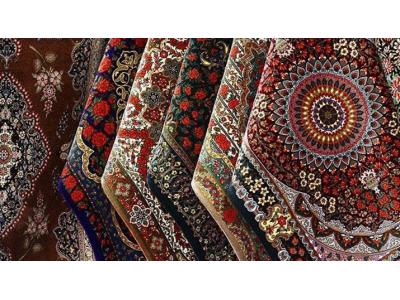فرش ابریشم-قالیشویی در محدوده تهرانپارس