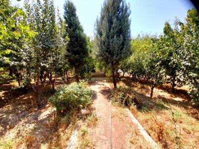 خرید باغ ویلا شهریار-1350 متر باغ ویلای در حال ساخت در شهریار