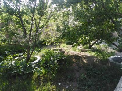 محوطه سازی-800 متر باغ ویلا با درختان قدیمی در شهریار