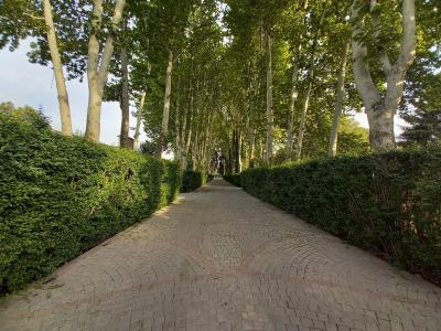 ویلا باغ-2300 متر باغ با جواز ساخت ویلای فاخر در شهریار