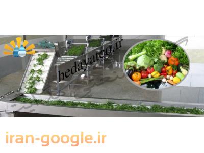 تونلی-دستگاه شستشوی میوه سبزی و سالاد