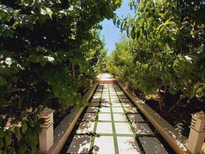 نورپردازی باغ-باغ ویلا 1000 متری در موقعیت عالی در شهریار