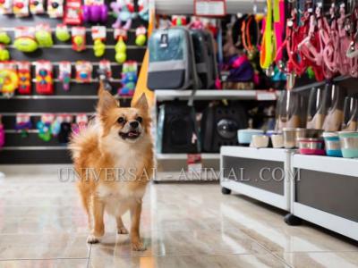 Pet store Dubai-Animal supply Bahrain