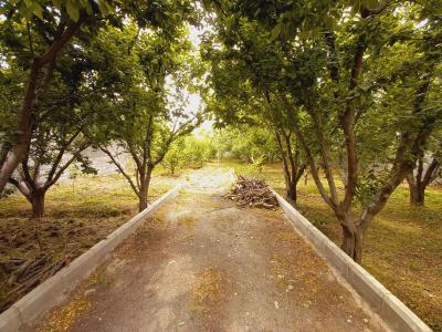باغ ویلا در ملارد – باغ ویلا در ملارد –-800 متر باغچه با بنای قدیمی در شهریار