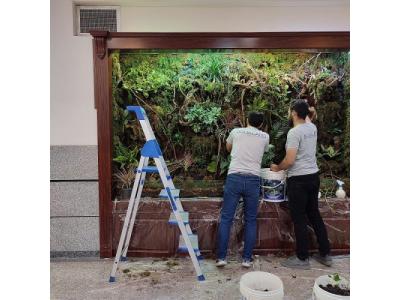 بازسازی چیست-دیوار سبز حرفه ای – گرین وال