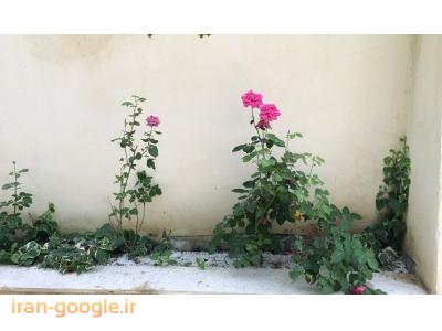 1000 متر باغ در شهریار-1000 متر ویلا در خوشنام - البرز(کد101)