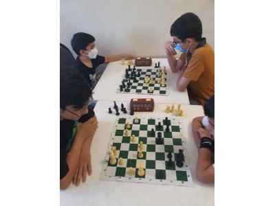 شطرنج حرفه ای-آموزش شطرنج از کودکان تا بزرگسالان