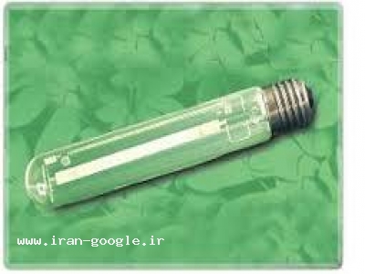 انواع چراغ سیگنال- شرکت ایرانیان وارم گروه