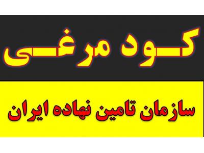 فروش پودر گوگرد-کود مرغی و پلت مرغی در مشهد