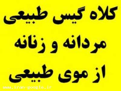 نزدیک تهران-سفارش کلاه گیس زنانه و کلاه گیس مردانه 