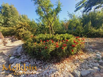 باغ و باغچه-750 متر باغچه ی نهال کاری شده در ملارد