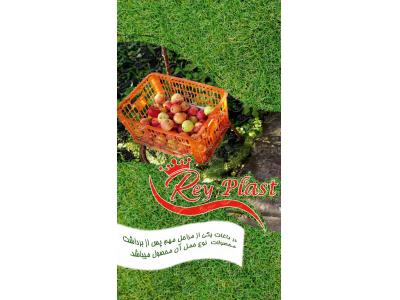 سبد های میوه-انواع جعبه و سبد پلاستیکی جهت بسته بندی 