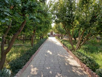 آب میوه-باغ چهاردیواری 552 متری در شهریار
