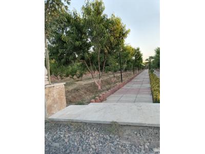 باغ هکتاری در نظرآباد-یک هتکار و 110 متر مربع باغ در کرج ( نظر آباد )