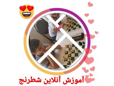 کودکان و بزرگسالان-آموزش شطرنج از کودکان تا بزرگسالان