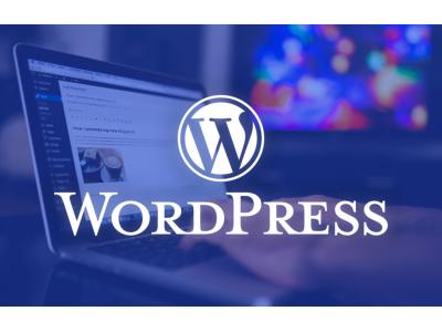 دیش-آموزش طراحی سایت حرفه ای با ورد پرس (WordPress) - مشهد