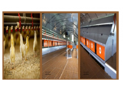 خدمات ساب-گروه صنعتی تک طیور تولید کننده قفس های اتوماتیک و نیمه اتوماتیک ( تخمگذار و گوشتی )