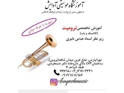 ریه-آموشگاه موسیقی آوایش در تهرانپارس