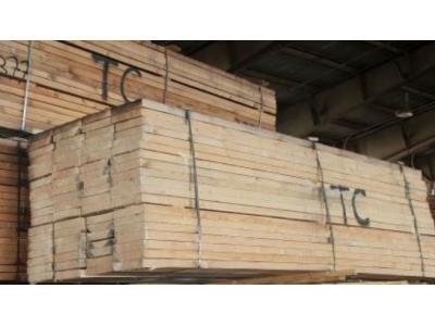 قیمت چوب روس-واردات و فروش مستقیم تخته زیر پایی ، تخته بنایی ، تخته قالب بندی TC
