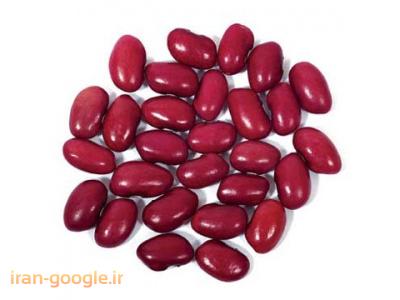 حبوبات-فروش انواع لوبیا قرمز