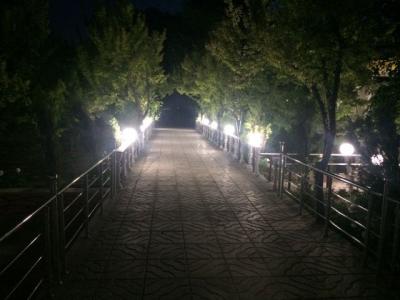 چراغ-فروش باغ ویلا ۸۰۰ متری در لم آباد ملارد(کد139)