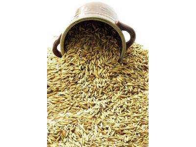 روغن در ایران-سبوس-سبوس برنج-سبوس گندم